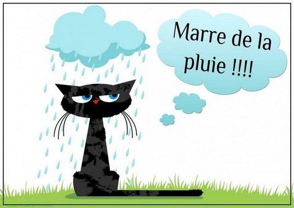 marre  de la flotte