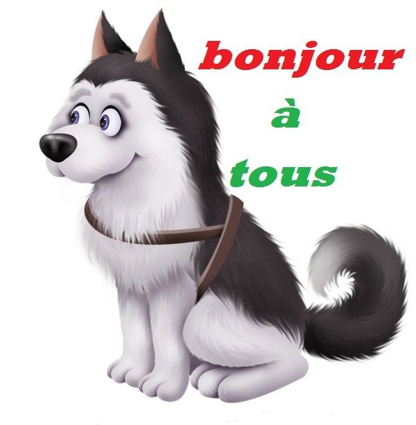 bonjour