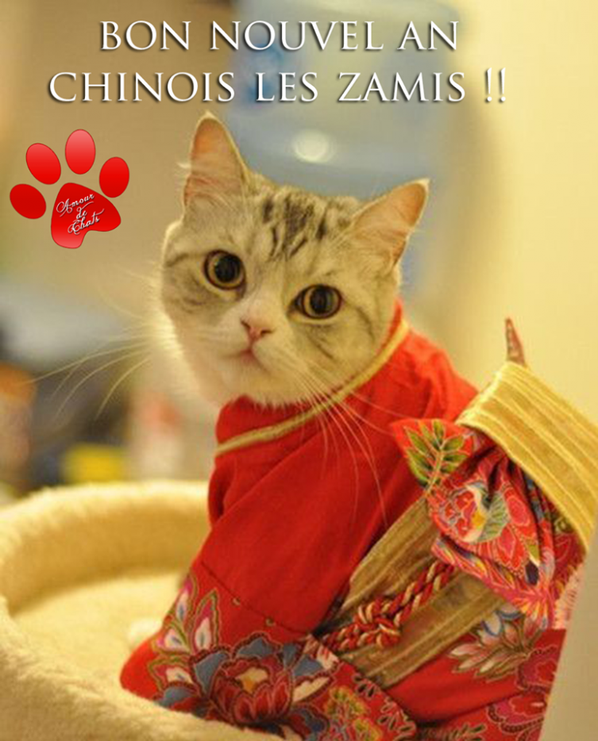 bon nouvelle an chinois