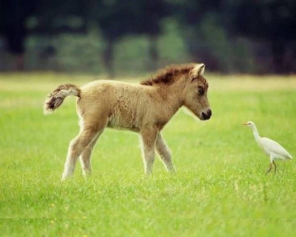 bébé..printemps