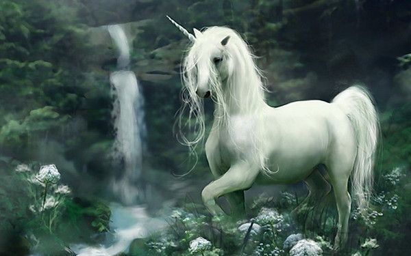 licorne