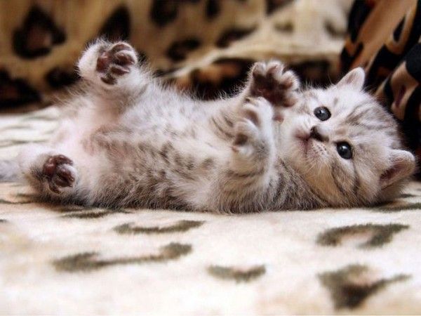 encore 5 minutes..hi.hi..