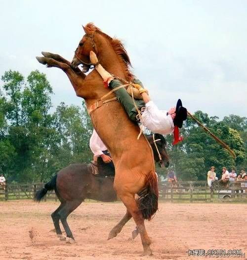 Un cowboy en action....