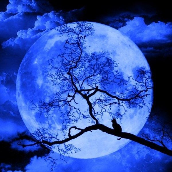 lune bleu....