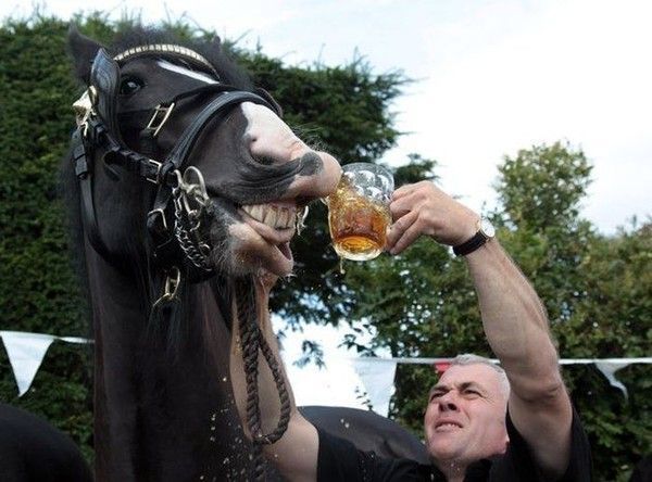 santé...mes vous