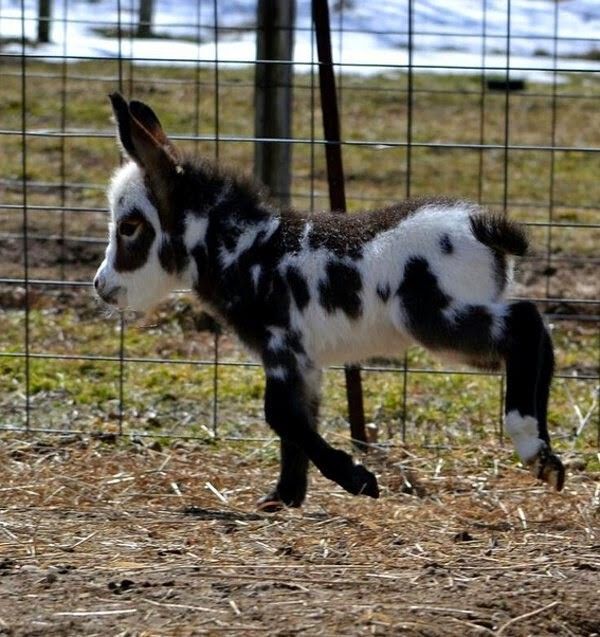 mignon bébé..