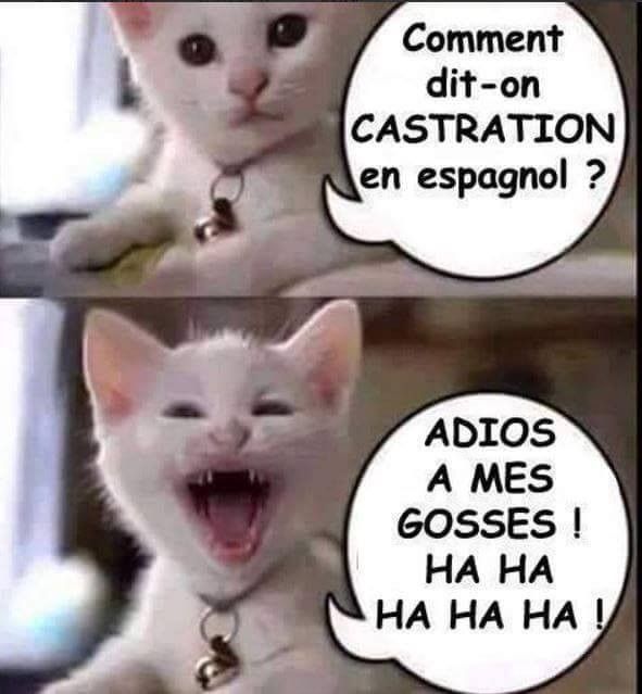 un peut humour