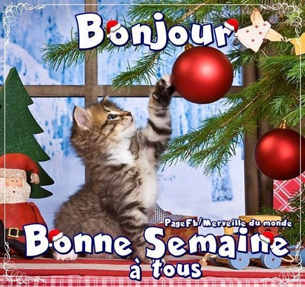 bonjour