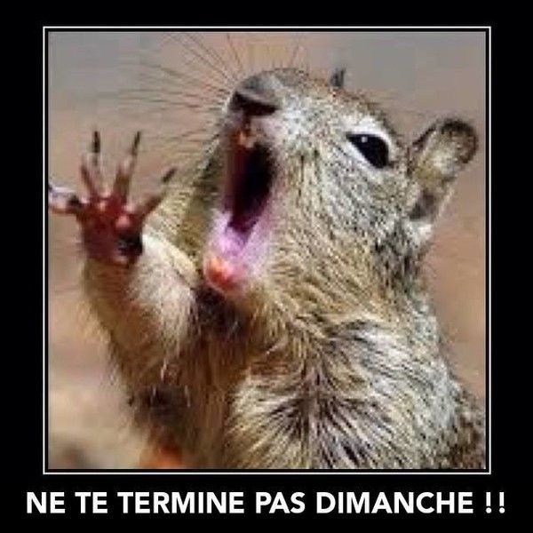 non.................pas heure....