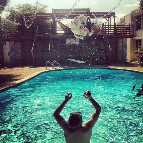 Go..! piscine....yes...!
