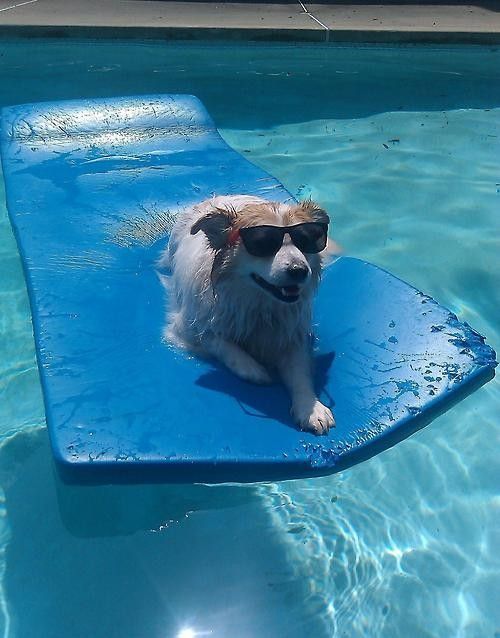 Ha....ah......la piscine..hi.hi..