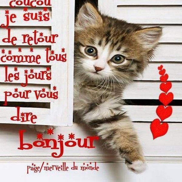 coucou