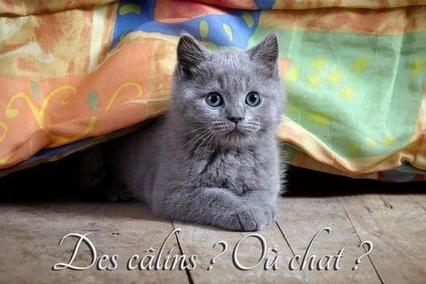j'ai attendu câlin..hi.hi..