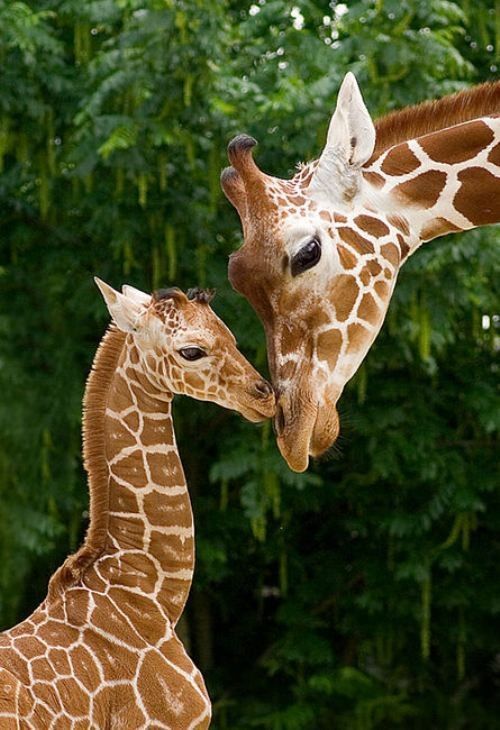 Une maman est un pilier....