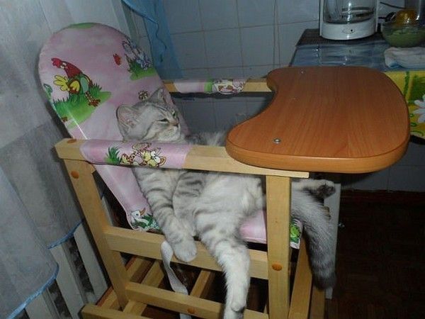 matou..chui...un 