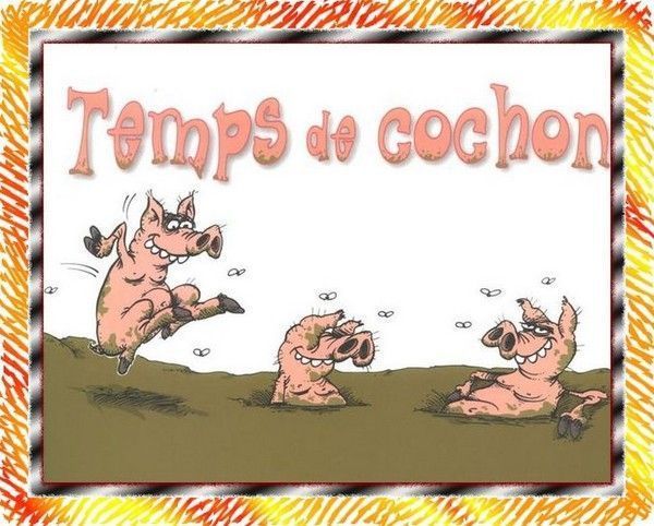 temps de cochons