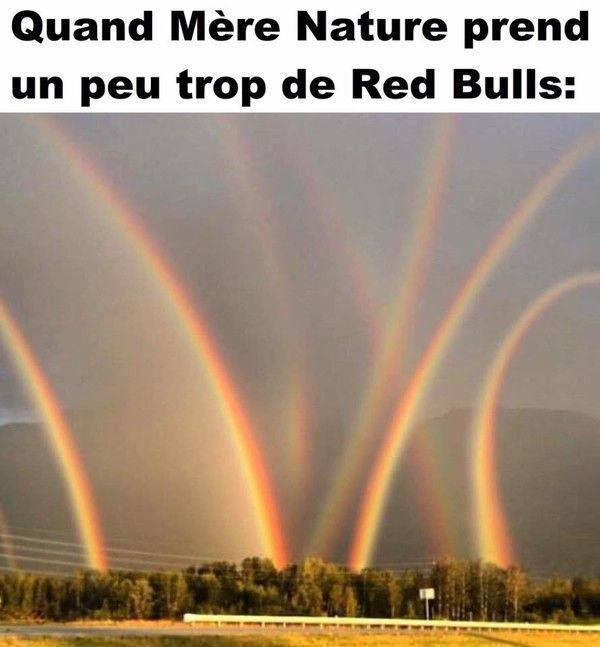 hi.hi...y as eux