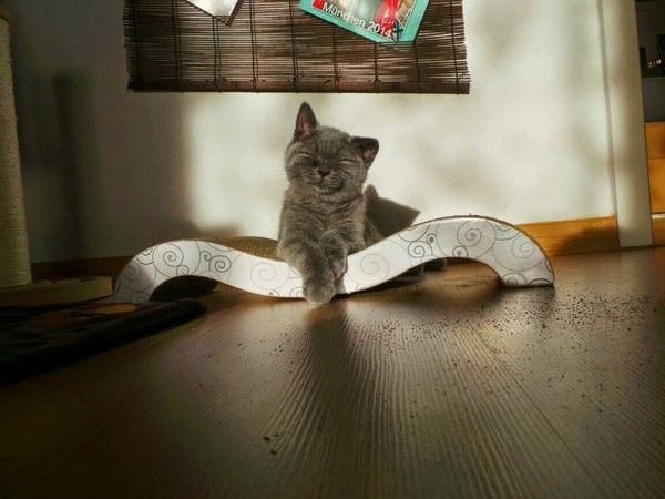 un sourire chaleureux..hi.hi..