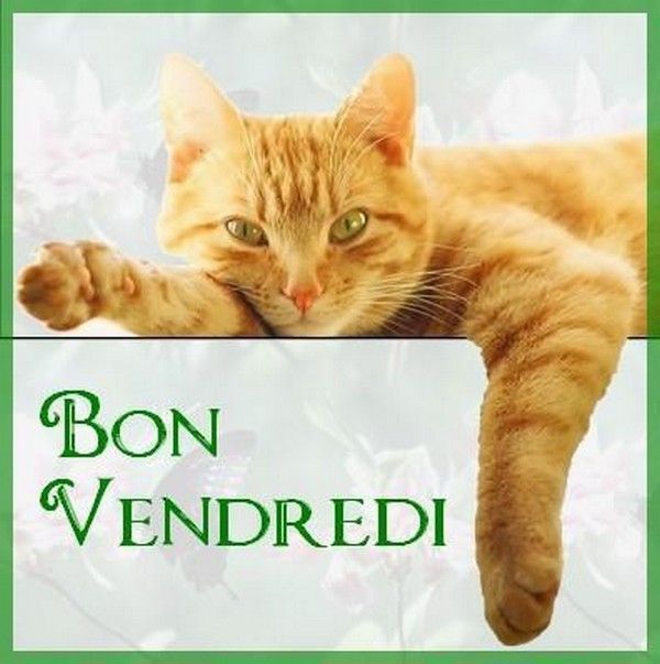 Bon vendredi...hi.hi..