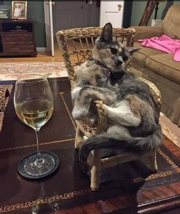 bon apéro....