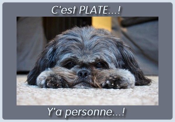 C'est plate....!!!