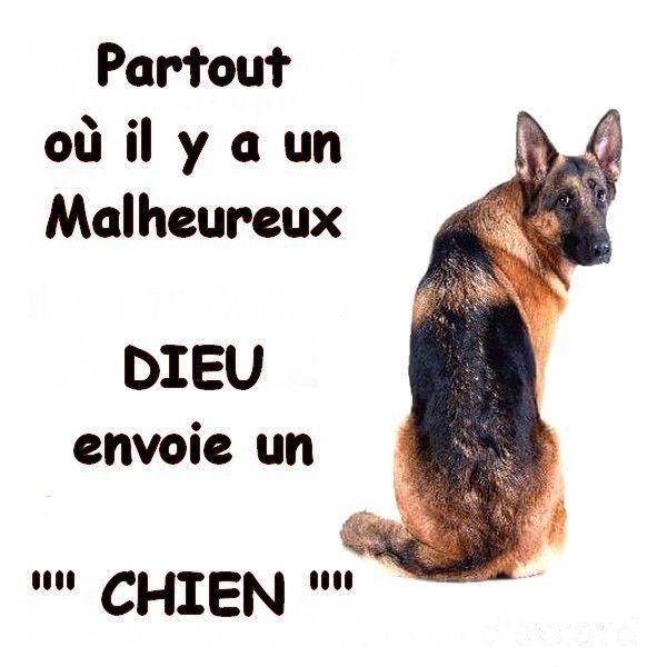 ne sois pas 
