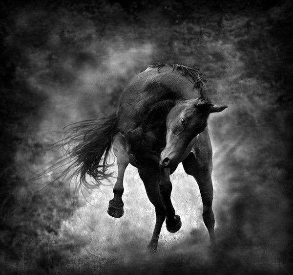Bel image...