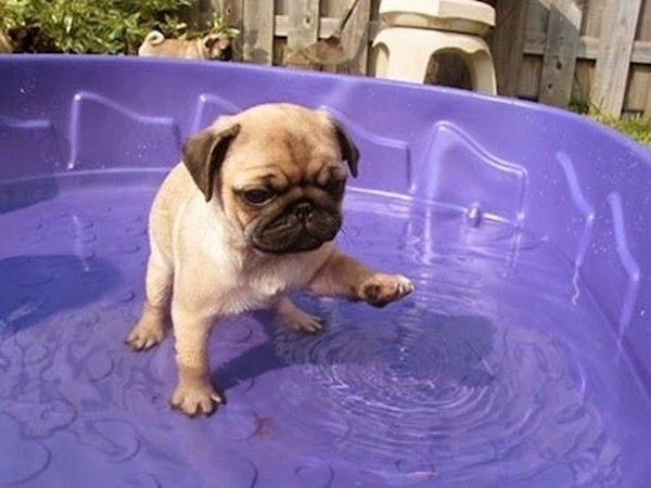 Moi..j'ai la barboteuse..hi.hi..