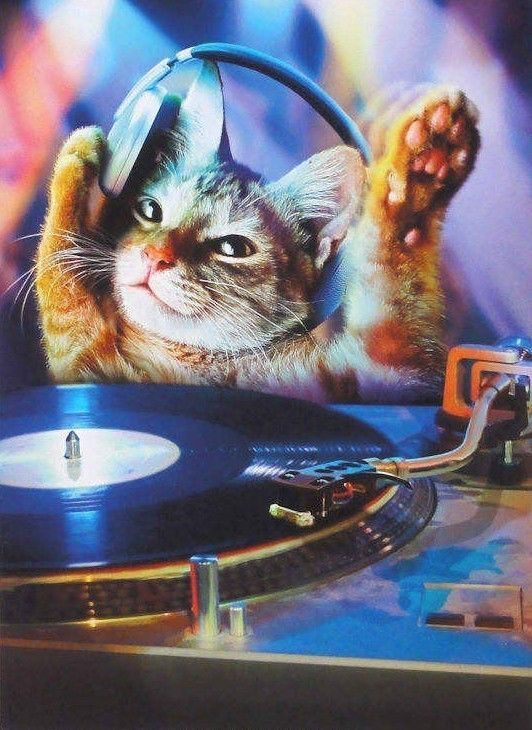 commonne.....DJ