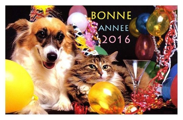 et bon party