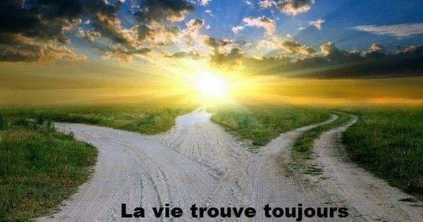 mais gardon confiance