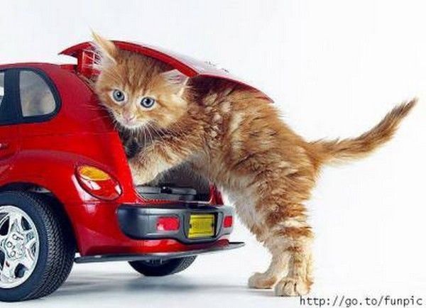 Ça y'est ...les valises....
