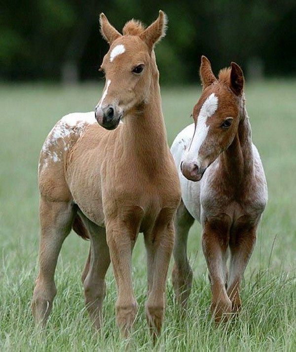 bébé..printemps