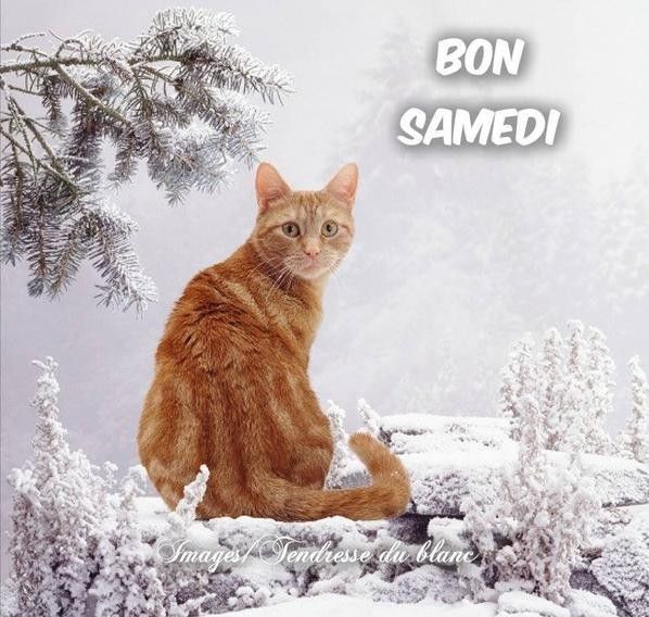 bon samedi...