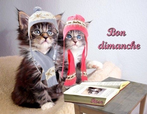 bon dimanche