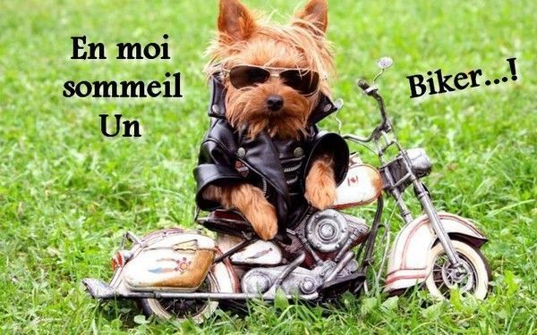 Futur biker..hi..hi..