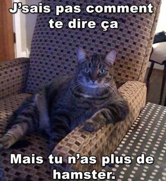 mdr..hi.hi..