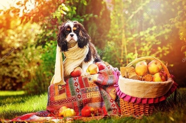 on est dans la saisons...de tout