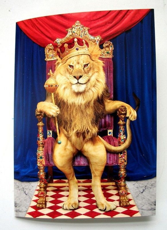 le roi est