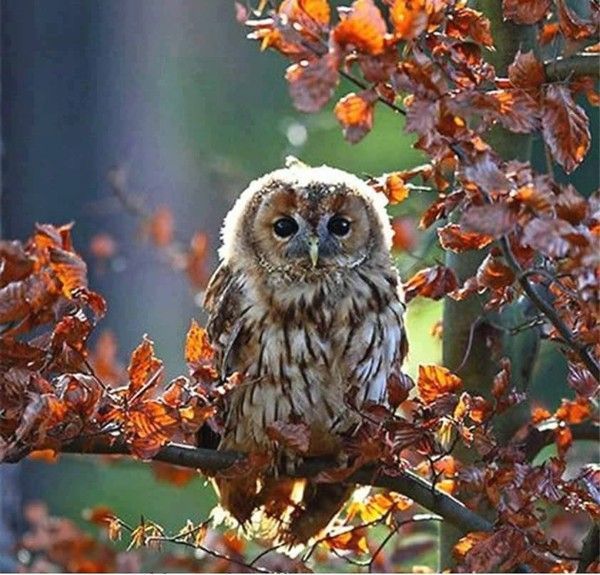 coucou.......me re voilou..hi.hi..