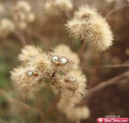 Bougeons ...du printemps...