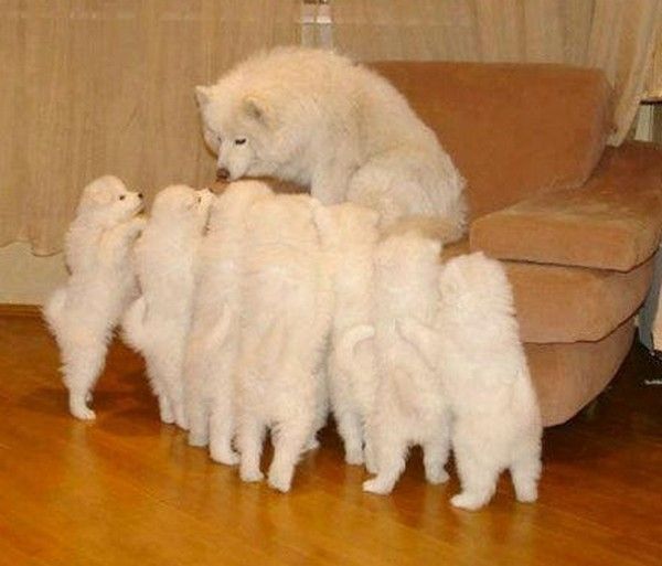 Ok..papa....raconte....là...hi.hi..