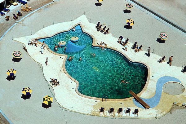 Piscine en forme de chat