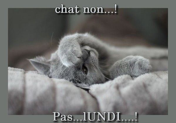 et la tu rencontre..hi.hi..