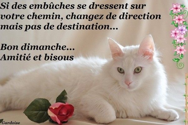 un dimanche