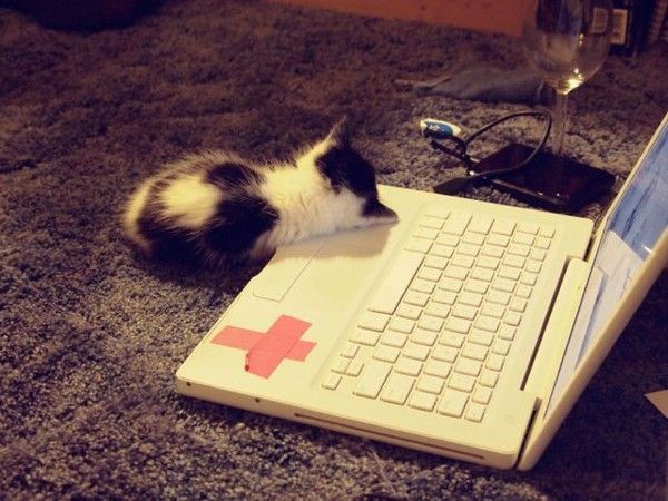 même...internet..hi.hi..