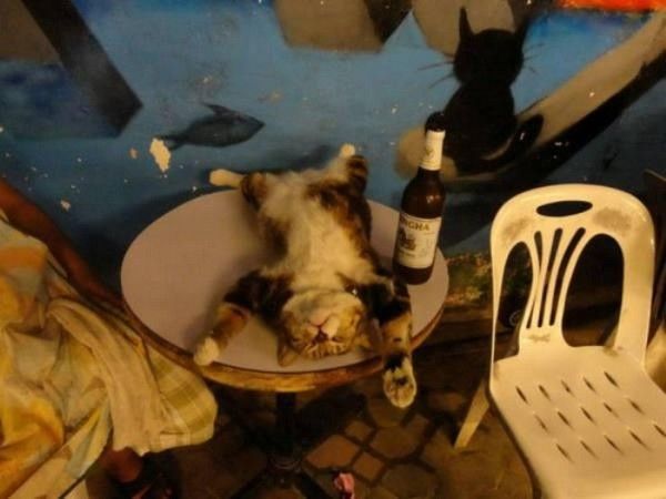 dur dur...le lendemain