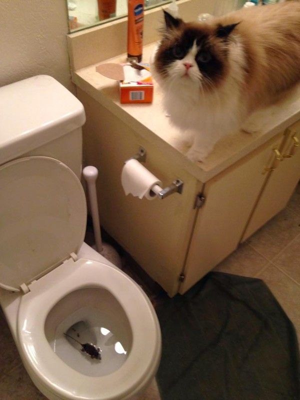 vous savez quoi..hi.hi..