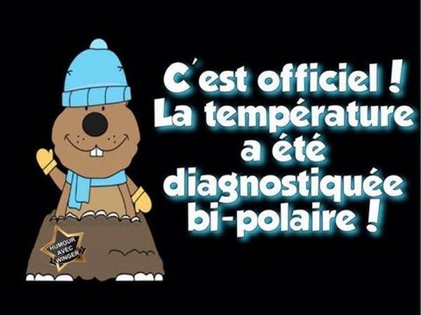 ce qui me consolle..hi.hi..