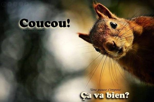 coucou..